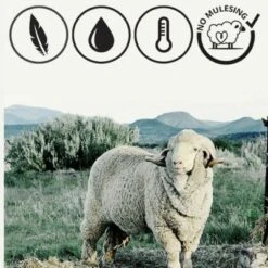 Giesswein Kinder-Hausschuhe Oberstaufen Hausschuhe -Schuh Mode Geschaft 6884155 06